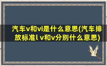 汽车v和vi是什么意思(汽车排放标准l v和v分别什么意思)